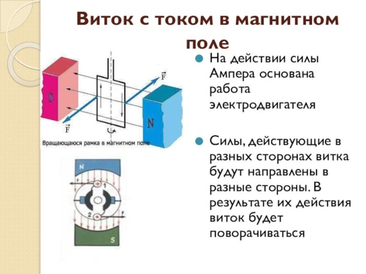 Виток с током в магнитном полеНа действии силы Ампера основана работа электродвигателяСилы,