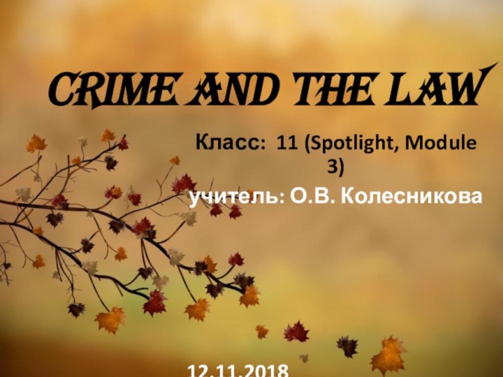 Crime and the LawКласс: 11 (Spotlight, Module 3)учитель: О.В. Колесникова12.11.2018