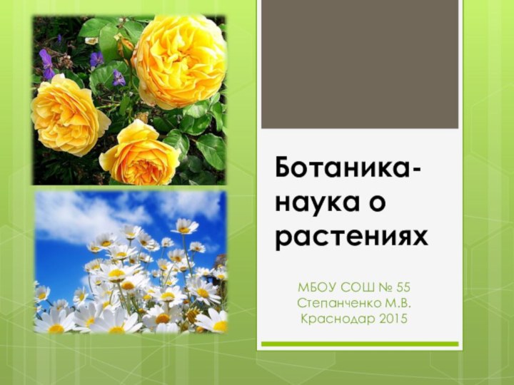 Ботаника- наука о растенияхМБОУ СОШ № 55Степанченко М.В. Краснодар 2015