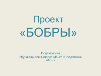 Проект обучающихся 3 класса Бобры