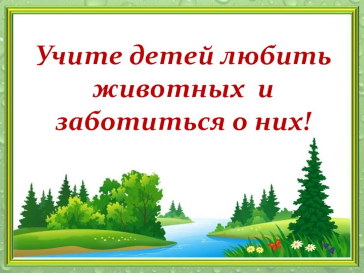 Учите детей любить  животных и заботиться о них!