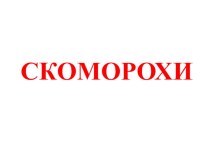 Скоморохи (дополнительное образоание)