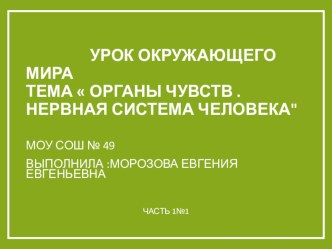 Презентация по окружающему миру тема  Органы чувств.Нервная система человека