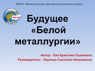 Презентация по дисциплине Основы металлургического производства Будущее белой металлургии