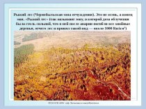 Презентация по теме Чернобыль. 30 лет спустя...