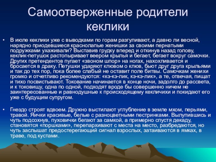 Самоотверженные родители кекликиВ июле кеклики уже с выводками по горам разгуливают, а