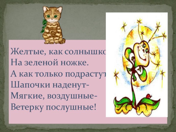 Желтые, как солнышко. На зеленой ножке. А как только подрастут Шапочки наденут-