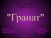 Проект по технологии Гранат (10 класс)