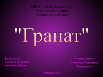 Проект по технологии Гранат (10 класс)