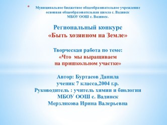 Конкурсная работа Что мы выращиваем на пришкольном участке