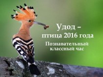 Удод - птица 2016 года в России
