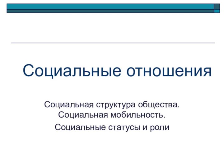 Социальные отношенияСоциальная структура общества. Социальная мобильность.Социальные статусы и роли