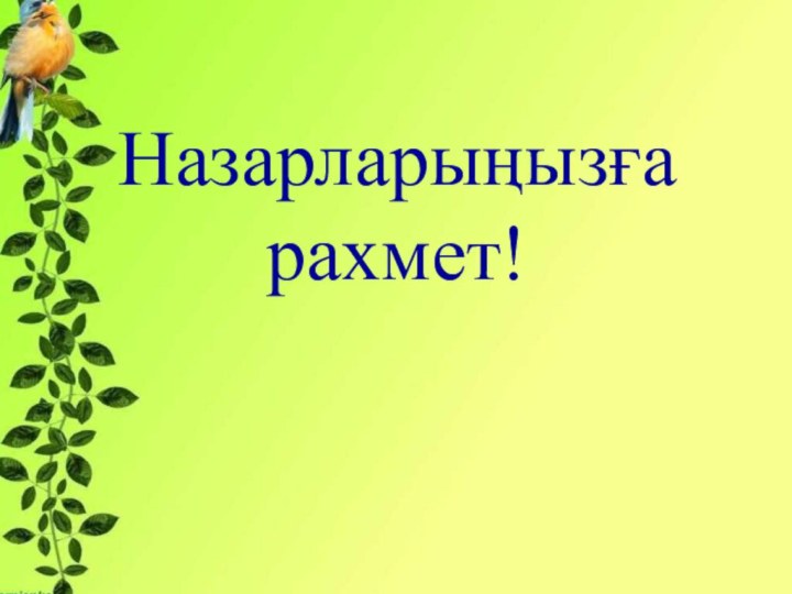 Назарларыңызға рахмет!