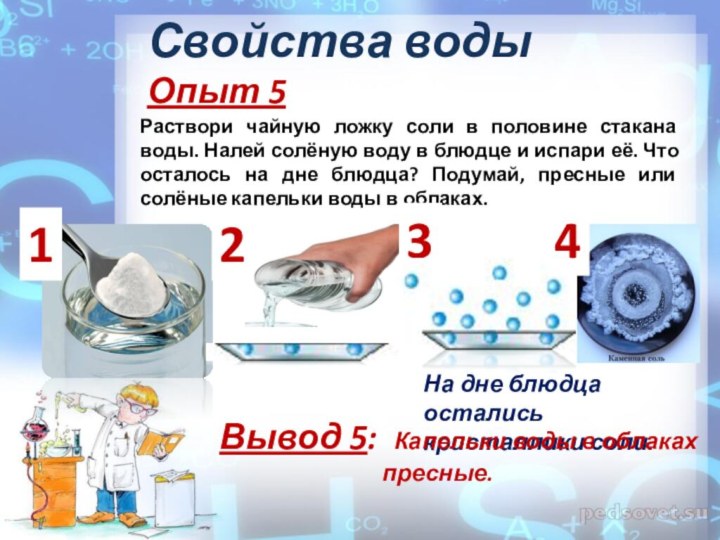 Свойства водыОпыт 5Раствори чайную ложку соли в половине стакана воды. Налей солёную