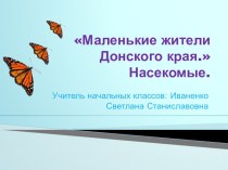 Презетация к внеклассному занятию на тему Маленькие жители Донского края.Насекомые.