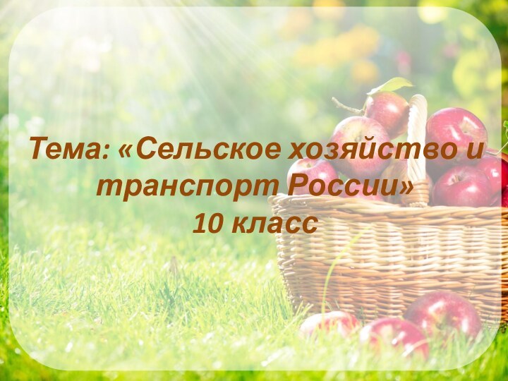 Тема: «Сельское хозяйство и транспорт России» 10 класс