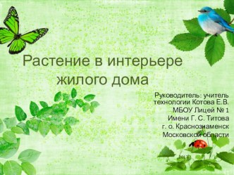 Презентация по технологии на тему Спатифиллум. Растение в интерьере жилого дома (6 класс)