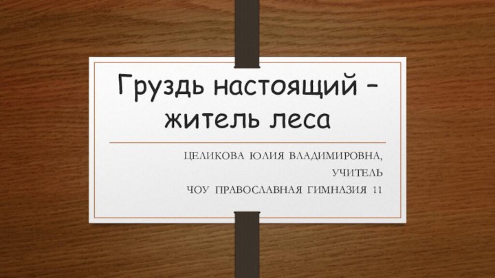 Груздь настоящий – житель леса ЦЕЛИКОВА ЮЛИЯ ВЛАДИМИРОВНА,УЧИТЕЛЬЧОУ ПРАВОСЛАВНАЯ ГИМНАЗИЯ 11