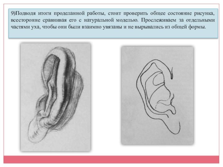 9)Подводя итоги проделанной работы, стоит проверить общее состояние рисунка, всесторонне сравнивая его