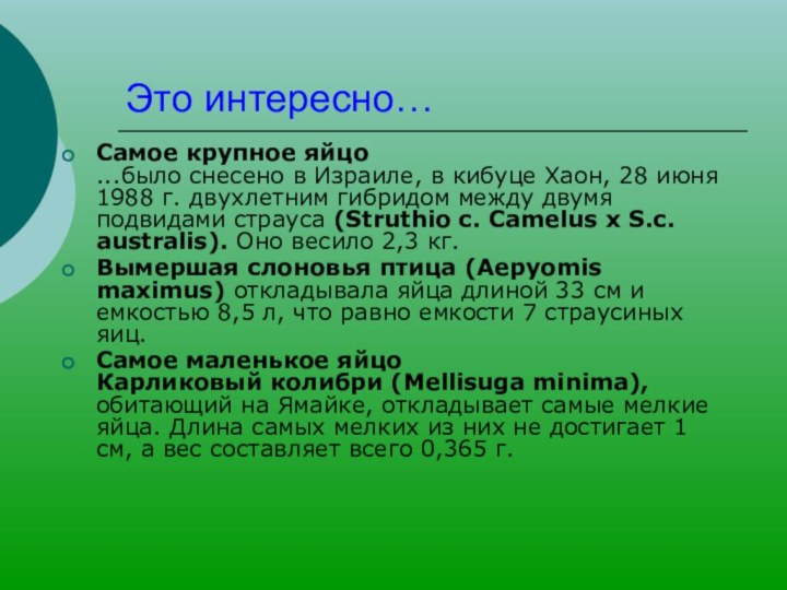 Это интересно…Самое крупное яйцо  ...было снесено в Израиле, в кибуце Хаон,