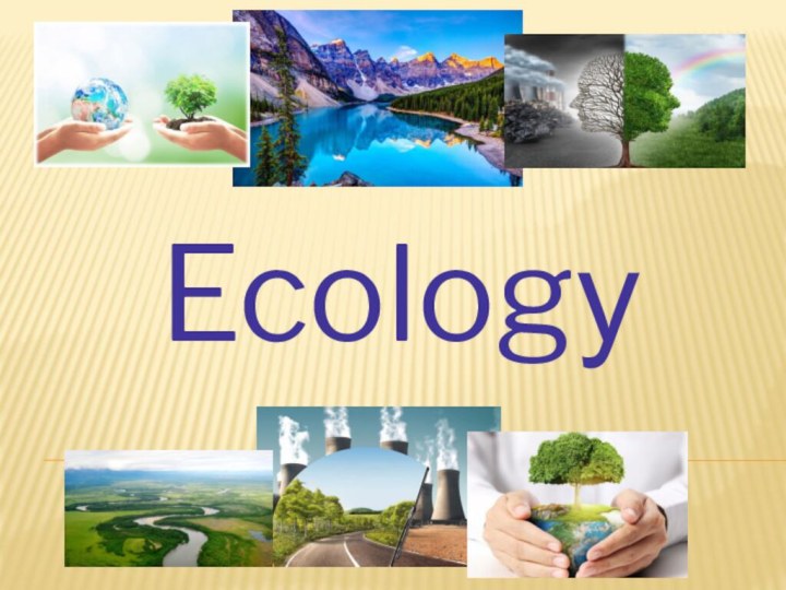 Ecology