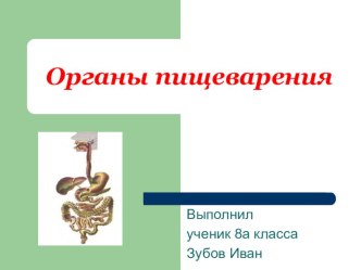 Презентация по биологии на тему:Органы пищеварения