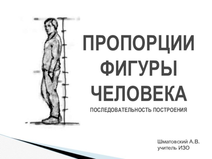 ПРОПОРЦИИ ФИГУРЫ ЧЕЛОВЕКА ПОСЛЕДОВАТЕЛЬНОСТЬ ПОСТРОЕНИЯШматовский А.В. учитель ИЗО