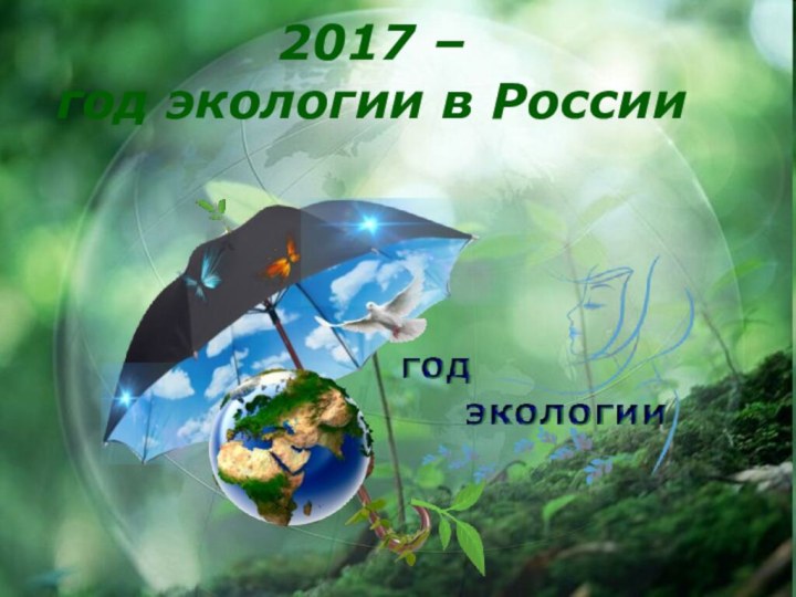 2017 –  год экологии в России