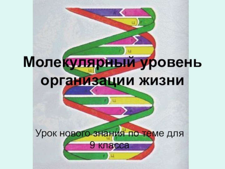 Молекулярный уровень организации жизниУрок нового знания по теме для 9 класса