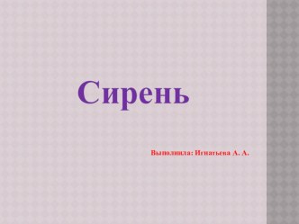 Презентация по познавательному развитию Сирень