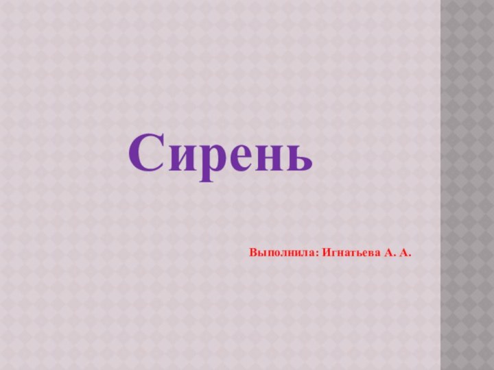 СиреньВыполнила: Игнатьева А. А.