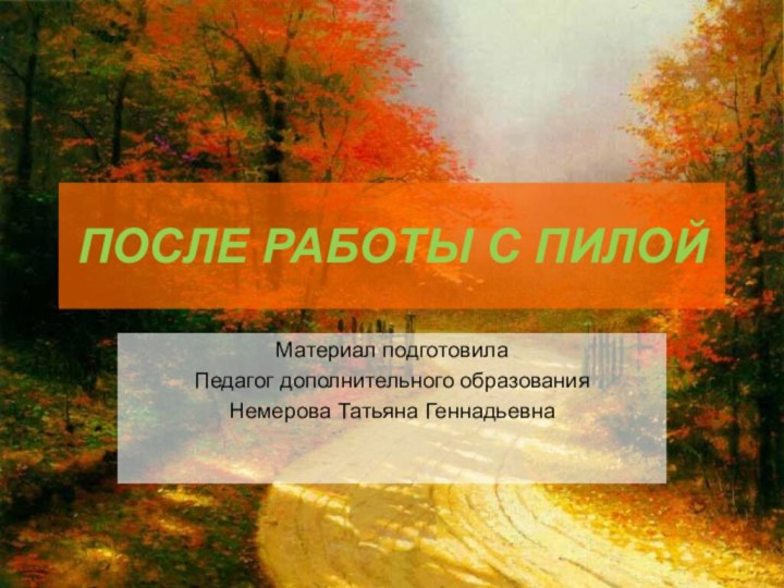 ПОСЛЕ РАБОТЫ С ПИЛОЙМатериал подготовилаПедагог дополнительного образования Немерова Татьяна Геннадьевна