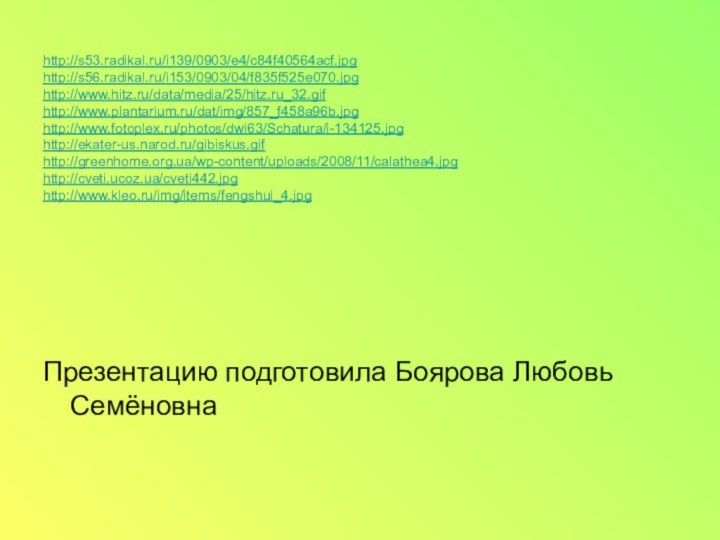 http://s53.radikal.ru/i139/0903/e4/c84f40564acf.jpghttp://s56.radikal.ru/i153/0903/04/f835f525e070.jpghttp://www.hitz.ru/data/media/25/hitz.ru_32.gifhttp://www.plantarium.ru/dat/img/857_f458a96b.jpghttp://www.fotoplex.ru/photos/dwi63/Schatura/i-134125.jpghttp://ekater-us.narod.ru/gibiskus.gifhttp://greenhome.org.ua/wp-content/uploads/2008/11/calathea4.jpghttp://cveti.ucoz.ua/cveti442.jpghttp://www.kleo.ru/img/items/fengshui_4.jpgПрезентацию подготовила Боярова Любовь Семёновна