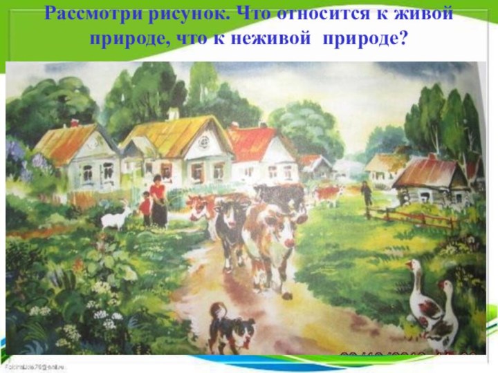 Рассмотри рисунок. Что относится к живой природе, что к неживой природе?