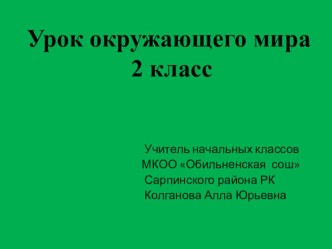 Презентация по окружающему миру на темуДикие и домашние животные.(2 класс)