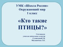 Презентация по окружающему миру Кто такие птицы ( 1 класс)