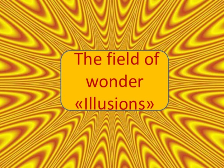 The field of wonder«Illusions»