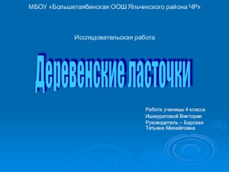 Исследовательская работа Деревенские ласточки