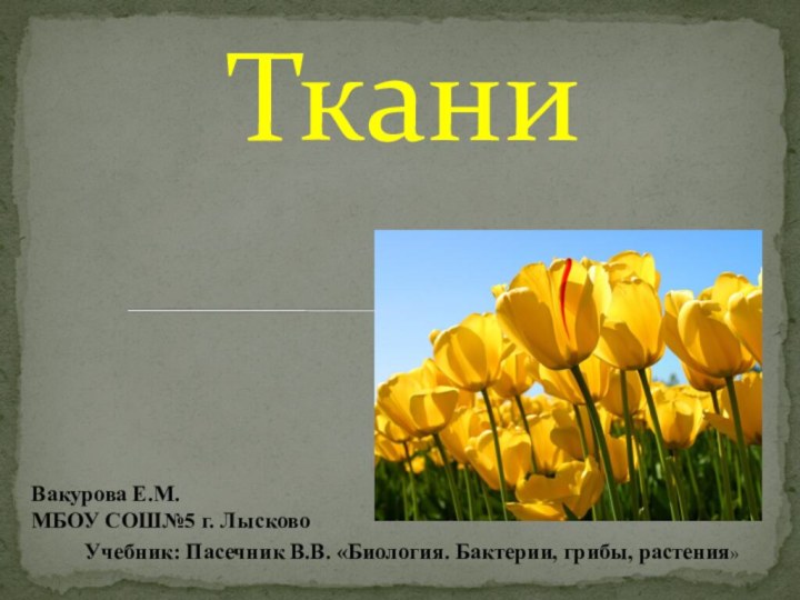 ТканиВакурова Е.М.МБОУ СОШ№5 г. ЛысковоУчебник: Пасечник В.В. «Биология. Бактерии, грибы, растения»