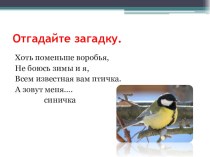 Презентация по русскому языку 2 класс
