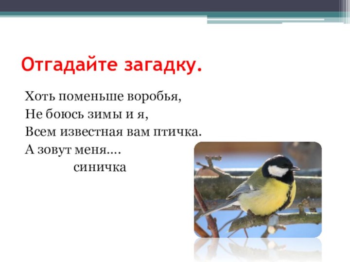 Отгадайте загадку.Хоть поменьше воробья,Не боюсь зимы и я,Всем известная вам птичка.А зовут меня….			синичка