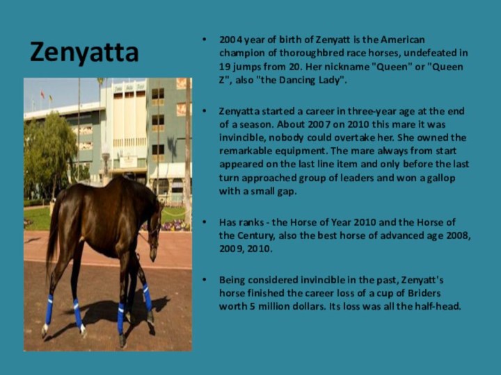 Zenyatta2004 year of birth of Zenyatt is the American champion of thoroughbred