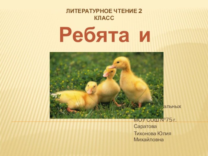 учитель начальных классов МОУ СОШ №75 г.СаратоваТихонова Юлия МихайловнаЛитературное чтение 2 классРебята и утята