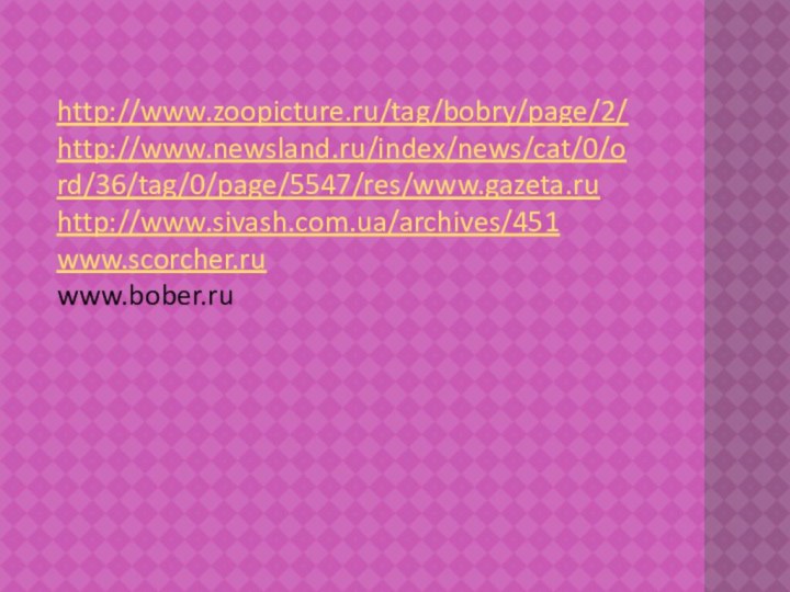 http://www.zoopicture.ru/tag/bobry/page/2/http://www.newsland.ru/index/news/cat/0/ord/36/tag/0/page/5547/res/www.gazeta.ruhttp://www.sivash.com.ua/archives/451www.scorcher.ruwww.bober.ru