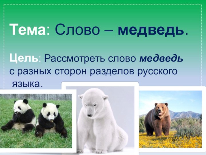 Тема: Слово – медведь.Цель: Рассмотреть слово медведь с разных сторон разделов русского языка.