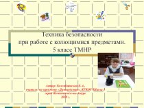 Презентация по Домоводству на тему Техника безопасности при работе с колющимися предметами(5 класс для обучающихся специальной(коррекционной ) школы ТМНР)