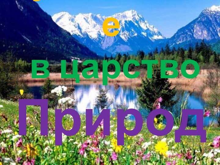 Путешествие  в царство Природы