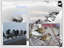 Урок русского языка в казахской школе Птицы зимой