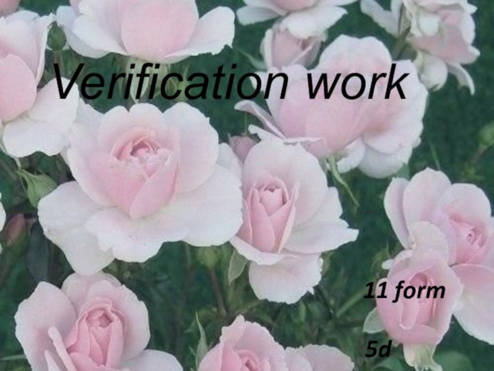 Verification work     11 form5d