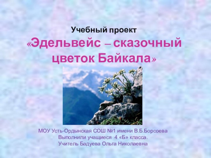 Учебный проект  «Эдельвейс – сказочный цветок Байкала» МОУ Усть-Ордынская СОШ №1